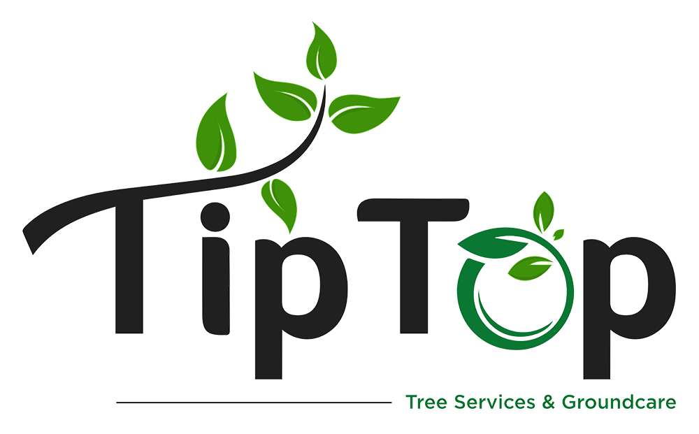 Tip Top Tree Services and Groundcare Logo