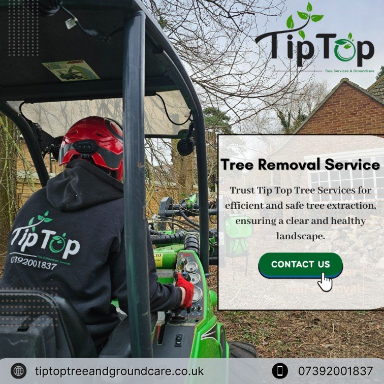 TipTop Tree Services TipTop Tree Removal Tree services in Didcot Tree removal in Didcot Tree care in Didcot Tree cutting services Didcot Arborist services Didcot Tree services Oxfordshire Tree removal Oxfordshire Tree care Oxfordshire Tree cutting Oxfordshire Professional tree removal Berkshire Tree removal Berkshire Tree trimming in Berkshire Stump grinding Berkshire Tree care specialists in Didcot Affordable tree removal Didcot Emergency tree services Didcot Tree hazard removal Oxfordshire Commercial tree services Berkshire Tree Services Didcot Tree Cutting Services Didcot Tree Surgeons Near Me Professional Tree Pruning Didcot Tree Pollarding Services London Tree Removal Services Oxfordshire Groundcare Services Didcot Emergency Tree Removal Didcot Affordable Tree Surgeons in Didcot Tree Trimming Services for Homes and Businesses Local Tree Pruning Specialists Didcot Hedge Cutting and Tree Care in Oxfordshire Reliable Tree Services in London and Surrounding Areas Experienced Arborists for Tree Removal Seasonal Tree Maintenance Services Didcot Stump Grinding Services Near Didcot