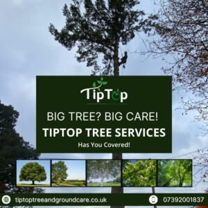 Book now for a professional pruning service! Call us today or visit our website to schedule a consultation and keep your garden thriving. in Didcot, Oxfordshire, and Berkshire