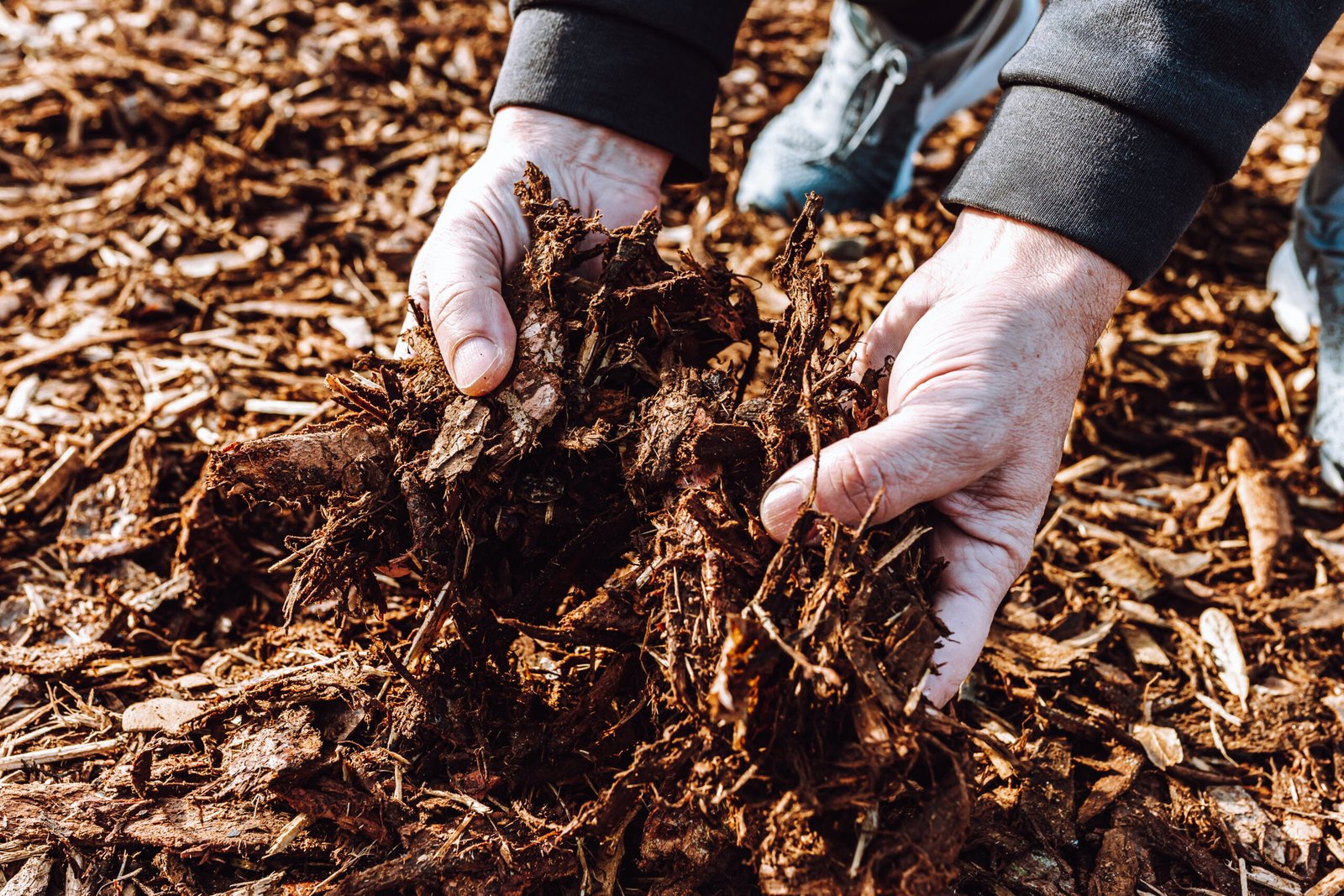 Mulching and Composting Mulching and Composting