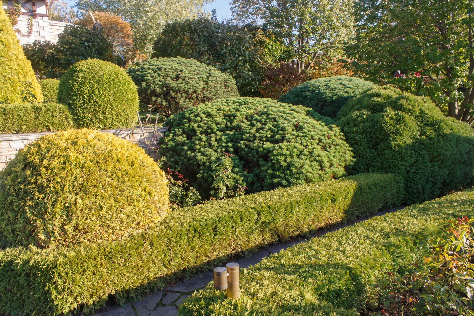 Cottage garden with topiary and trimmed bushes. Shrub and Bed Maintenance
