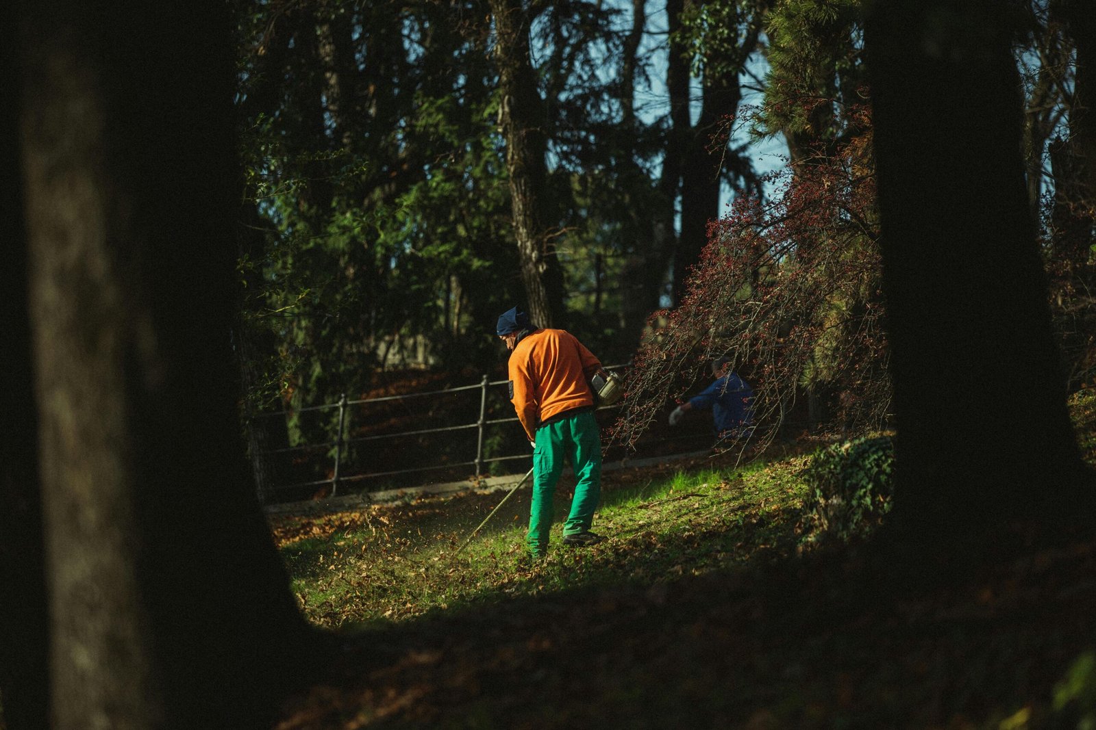 Professional lawn mowing or full-site upkeep Corporate Site Maintenance