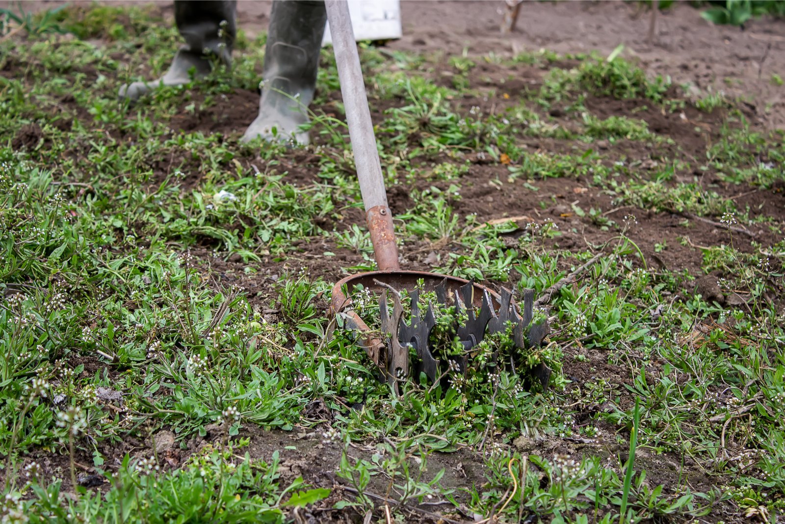 ground maintenance Corporate Site Maintenance