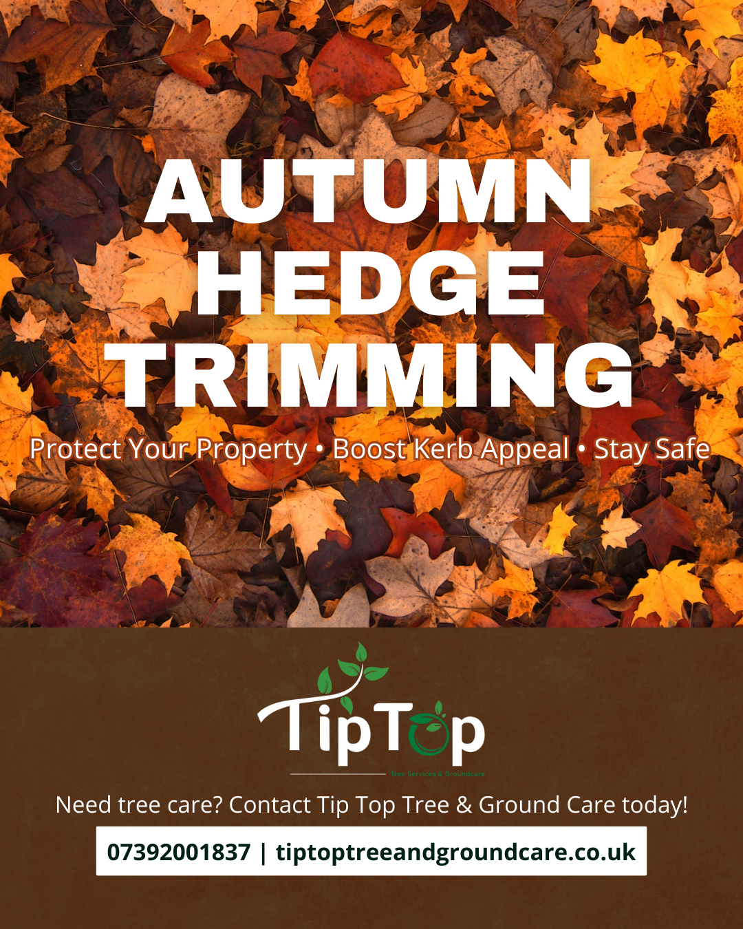 Why Regular Hedge Trimming in Autumn Protects Your Property
