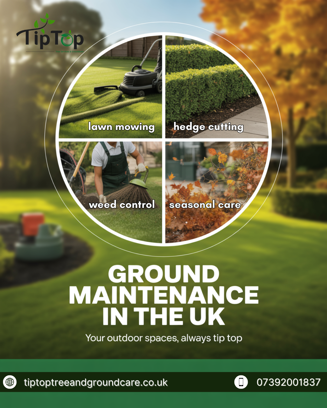 From overgrown to outstanding – we’ve got you covered! Whether it’s lawn mowing, hedge cutting, weed control, or seasonal care, Tip Top Tree & Ground Care keeps your outdoor spaces looking their very best all year round.