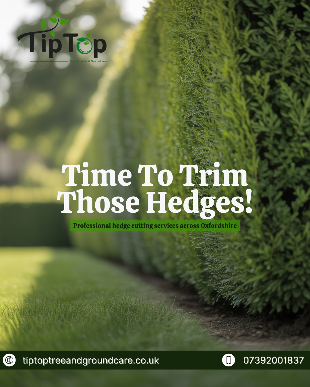 Time to trim those hedges! Professional hedge cutting services across Oxfordshire,