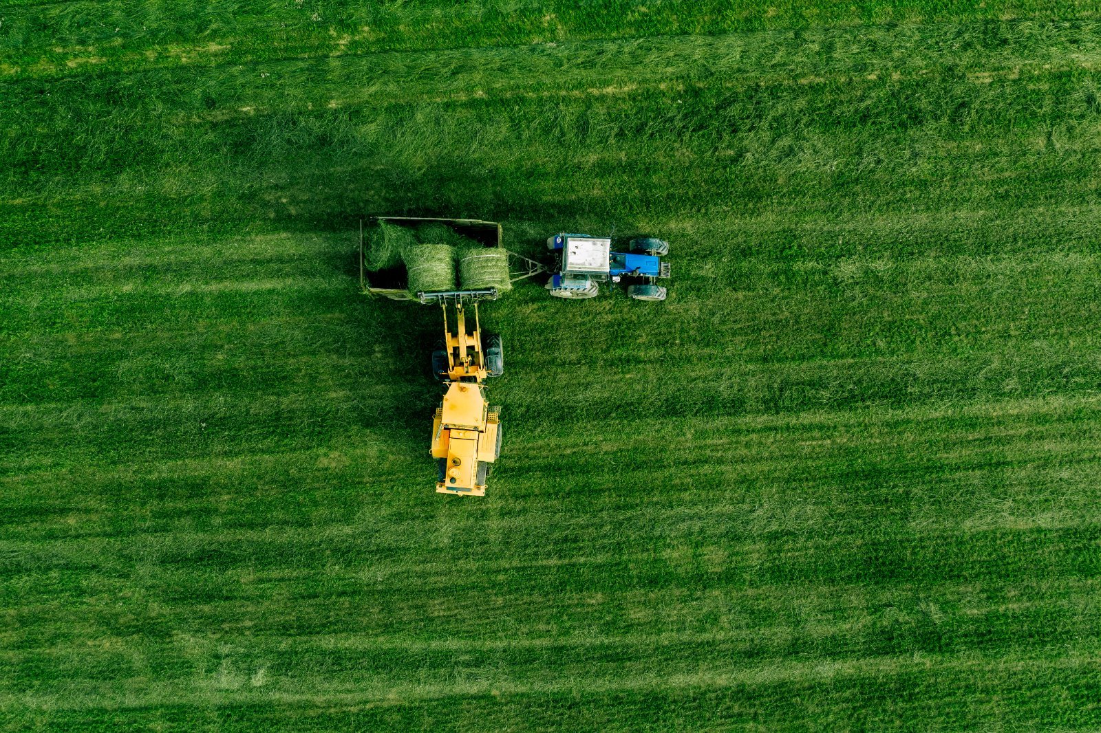 Corporate Site Maintenance