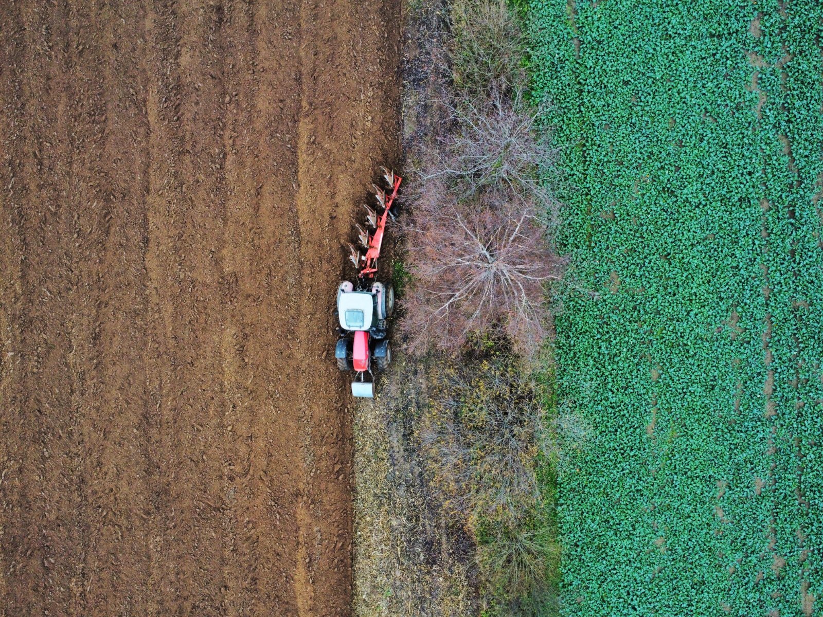 Corporate Site Maintenance