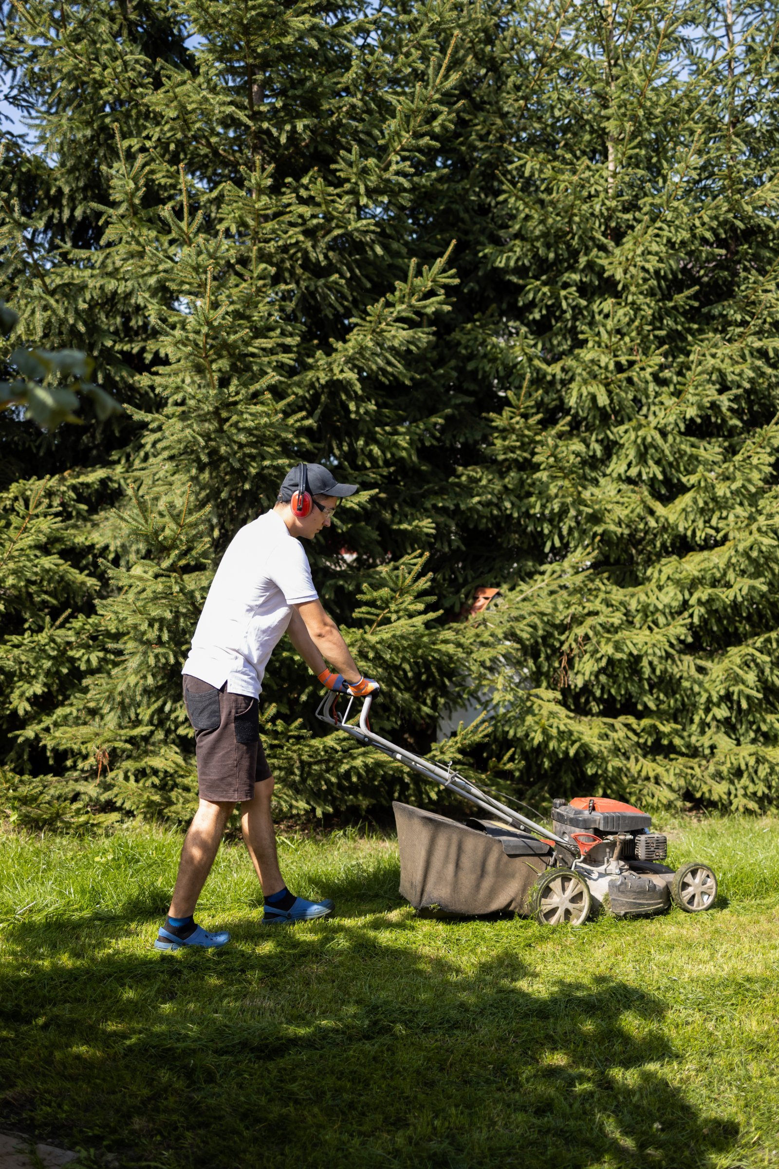 Corporate Site Maintenance