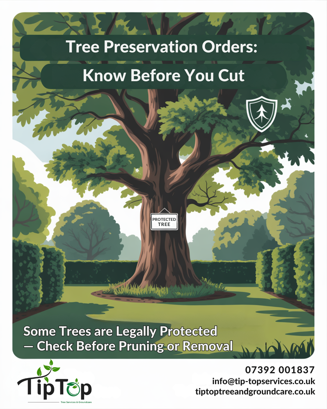 Tree Preservation Orders Know Before You Cut