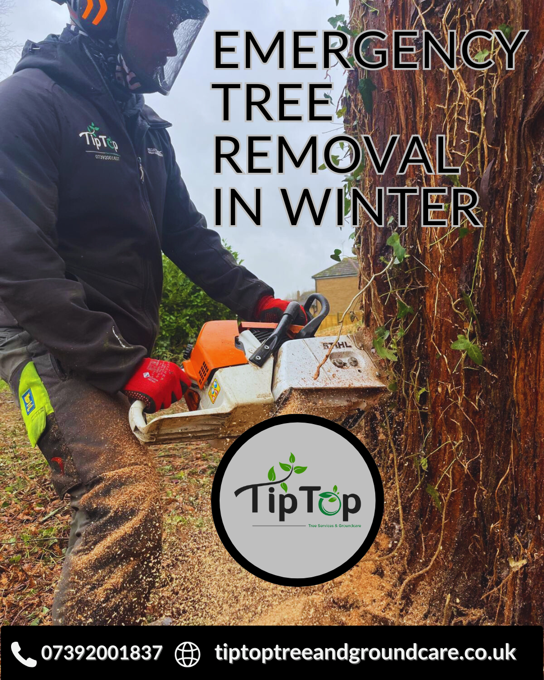 EMERGENCY TREE REMOVAL IN WINTER