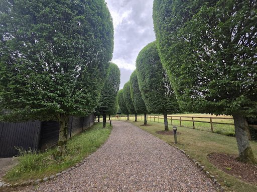Signs Your Hedge Needs Cutting