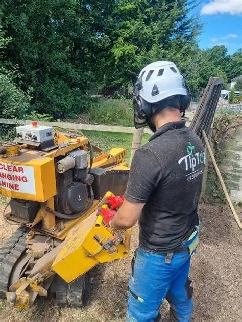 Milton-Park-Ground-Maintenance Corporate Site Maintenance