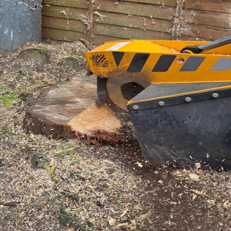 Tree Stump Removal Tree Stump Removal